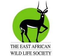 East African Wildlife Society’s Press Release: Unwarranted Killing of Nairobi Park’s Star Lion