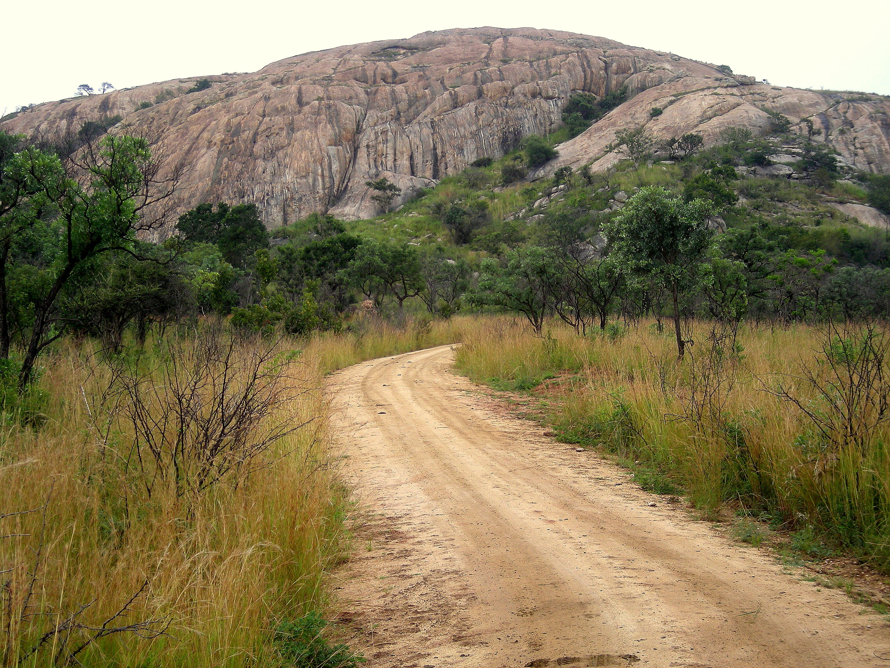 TravelComments.com – Kruger National Park: Lower Sabi Rest Camp temporarily closed until further notice!