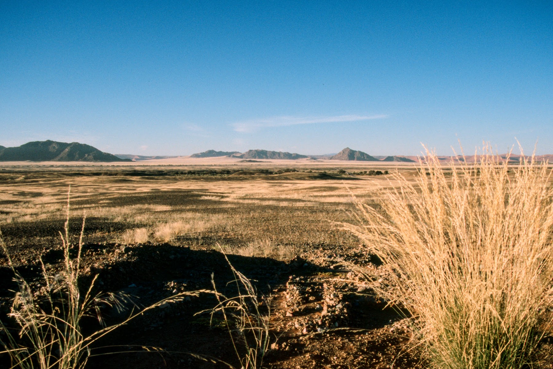 TravelComments.com – Namibia: Massive 89.4% decline of tourist arrivals in 2020!