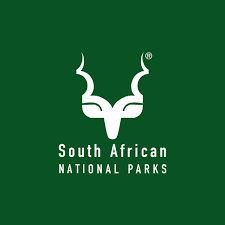 TravelComments.com – South African National Parks: Removal of bat houses in Kruger National Park!